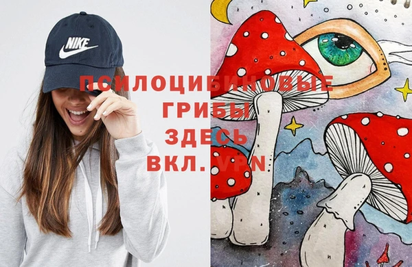 амф Алексеевка