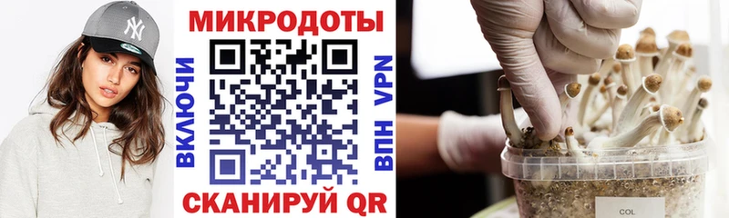 кракен ONION  как найти закладки  Алексин  Галлюциногенные грибы ЛСД 